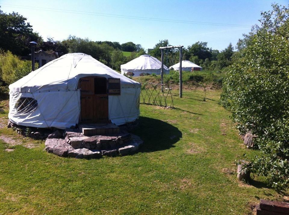 Inch Hideaway Eco Camping Whitegate  Dış mekan fotoğraf