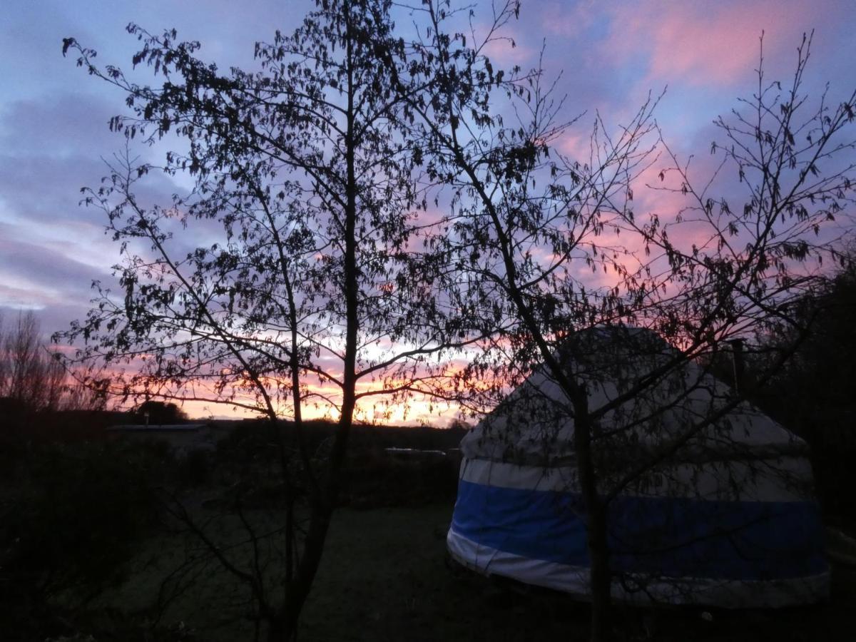 Inch Hideaway Eco Camping Whitegate  Dış mekan fotoğraf