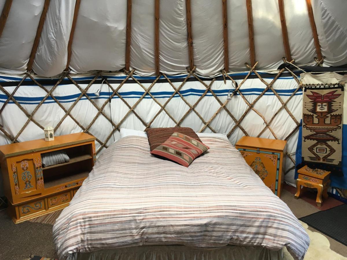 Inch Hideaway Eco Camping Whitegate  Dış mekan fotoğraf
