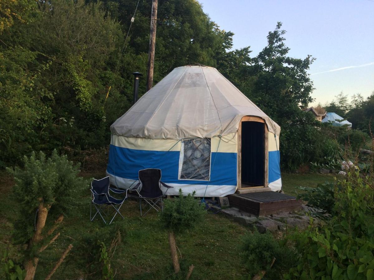 Inch Hideaway Eco Camping Whitegate  Dış mekan fotoğraf