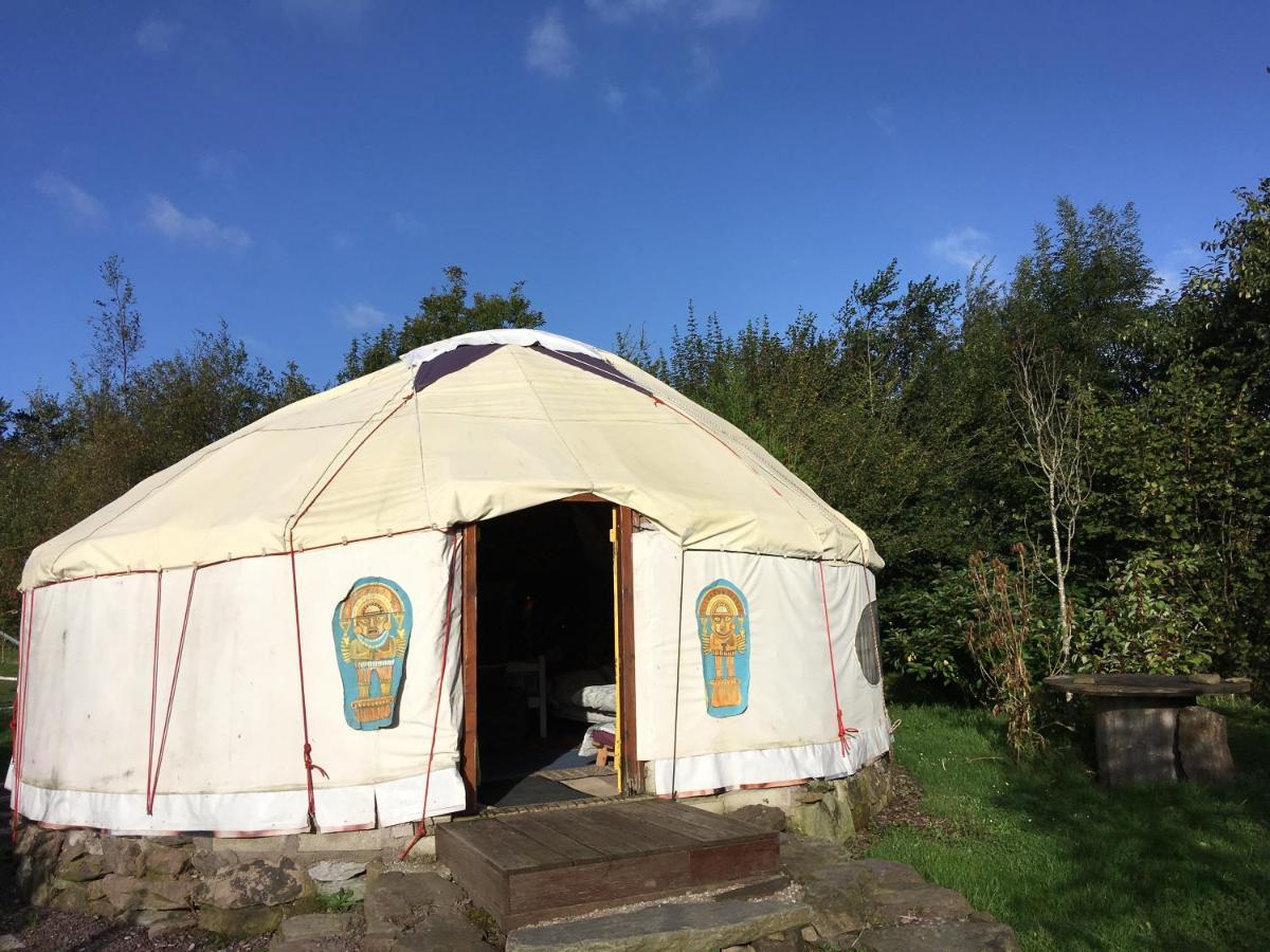 Inch Hideaway Eco Camping Whitegate  Dış mekan fotoğraf