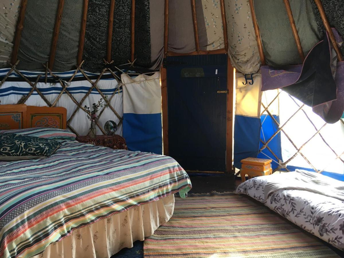 Inch Hideaway Eco Camping Whitegate  Dış mekan fotoğraf
