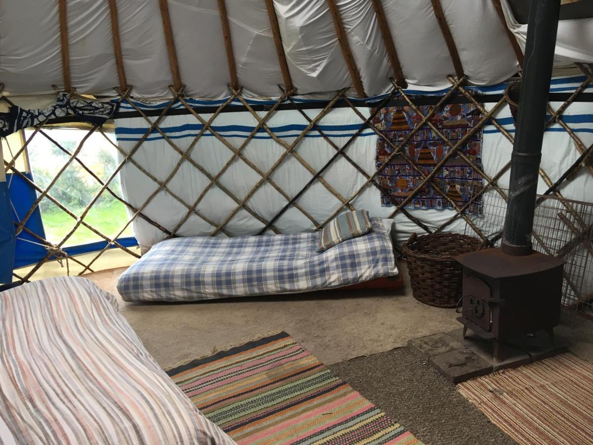 Inch Hideaway Eco Camping Whitegate  Dış mekan fotoğraf