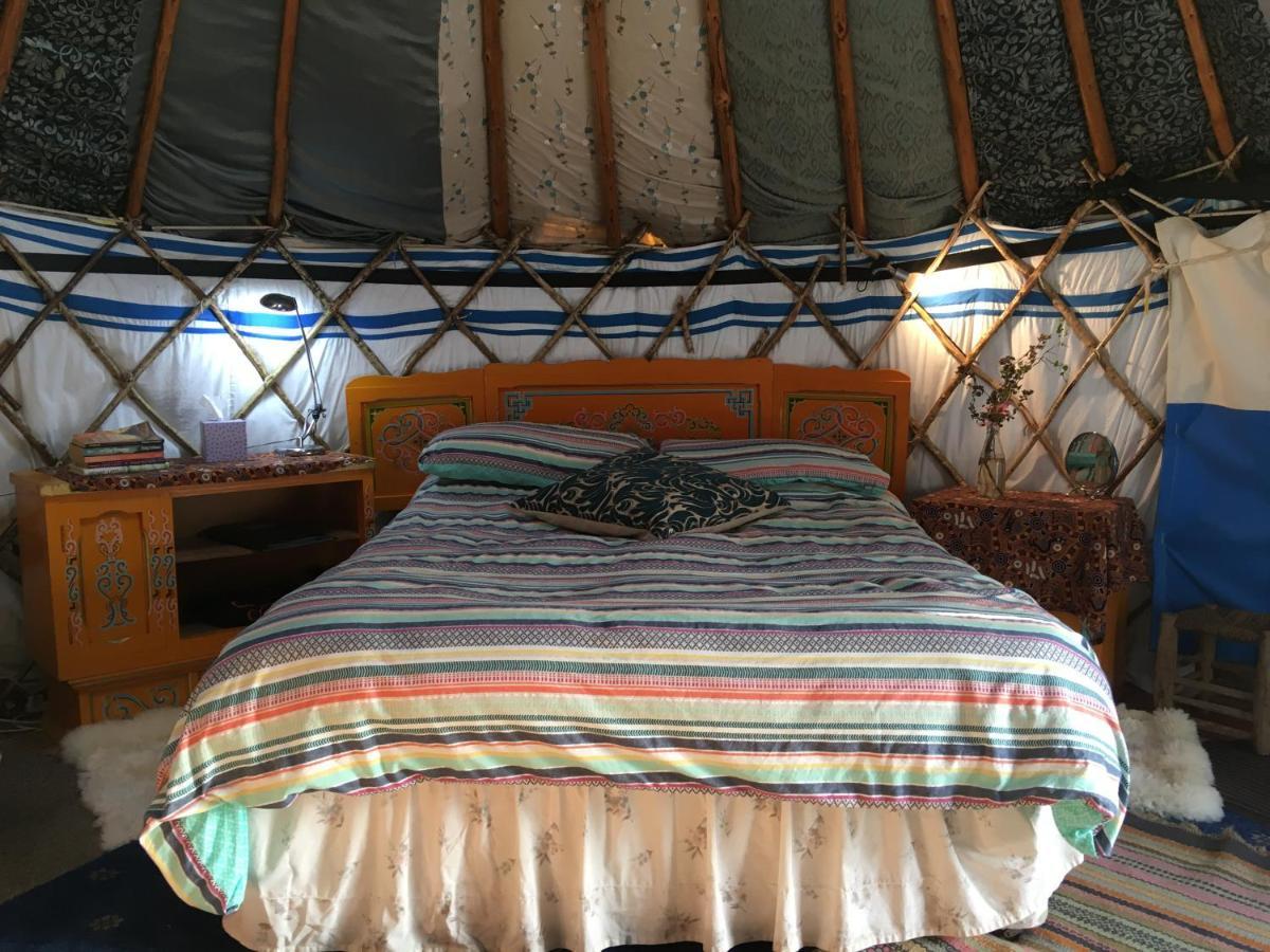 Inch Hideaway Eco Camping Whitegate  Dış mekan fotoğraf