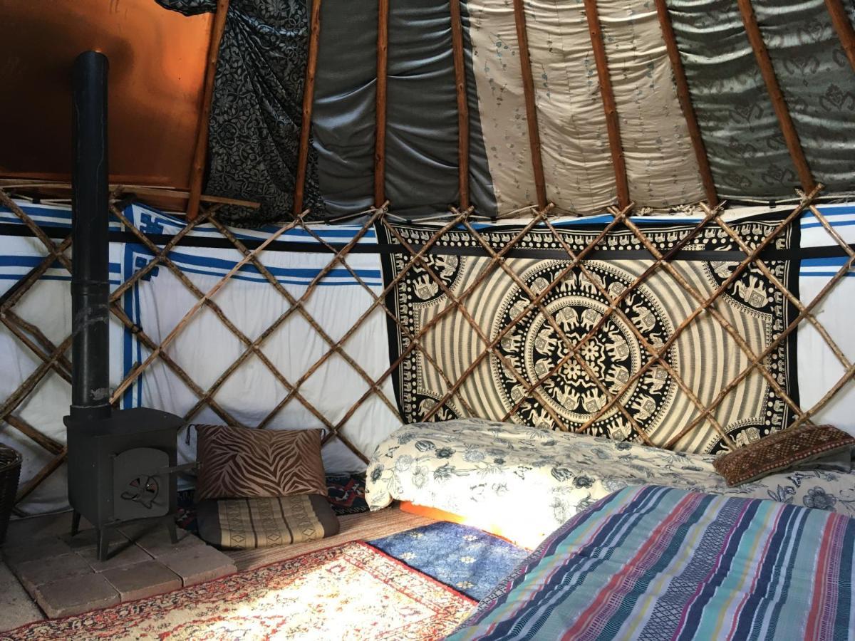 Inch Hideaway Eco Camping Whitegate  Dış mekan fotoğraf