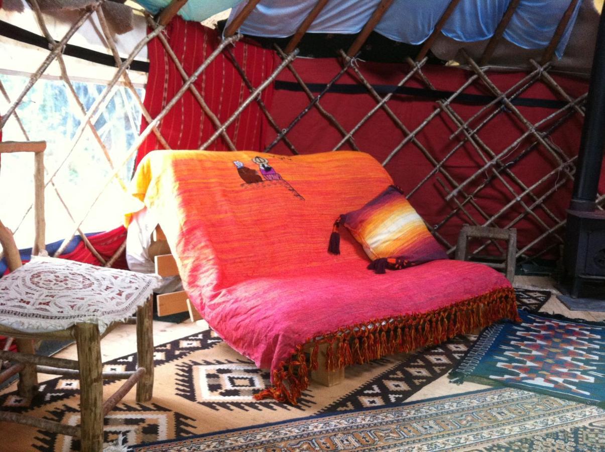 Inch Hideaway Eco Camping Whitegate  Dış mekan fotoğraf