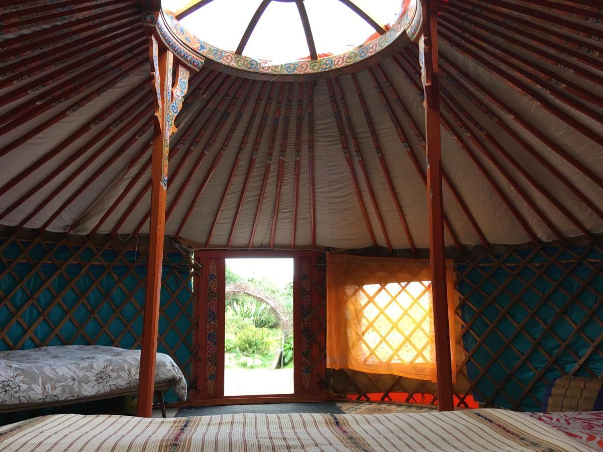 Inch Hideaway Eco Camping Whitegate  Dış mekan fotoğraf