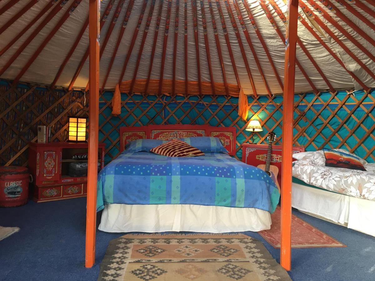 Inch Hideaway Eco Camping Whitegate  Dış mekan fotoğraf