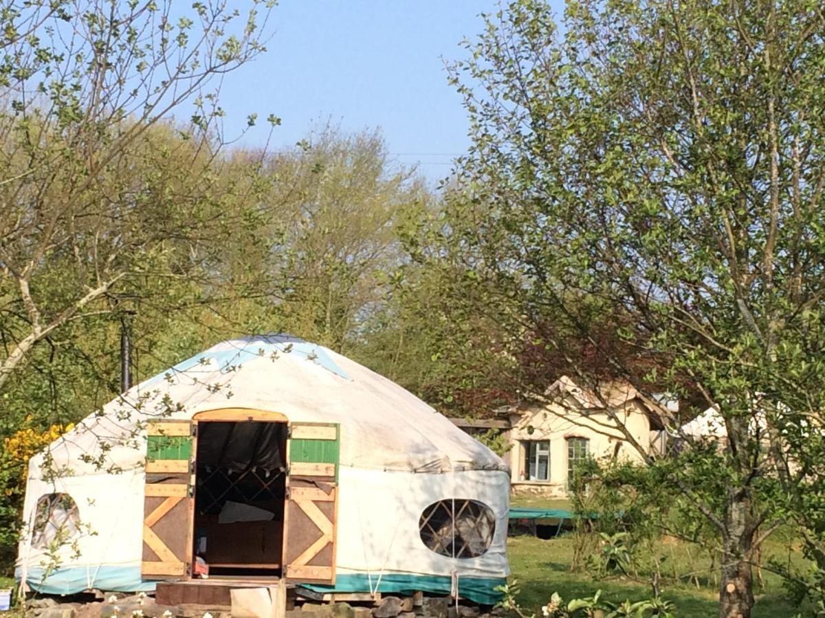 Inch Hideaway Eco Camping Whitegate  Dış mekan fotoğraf