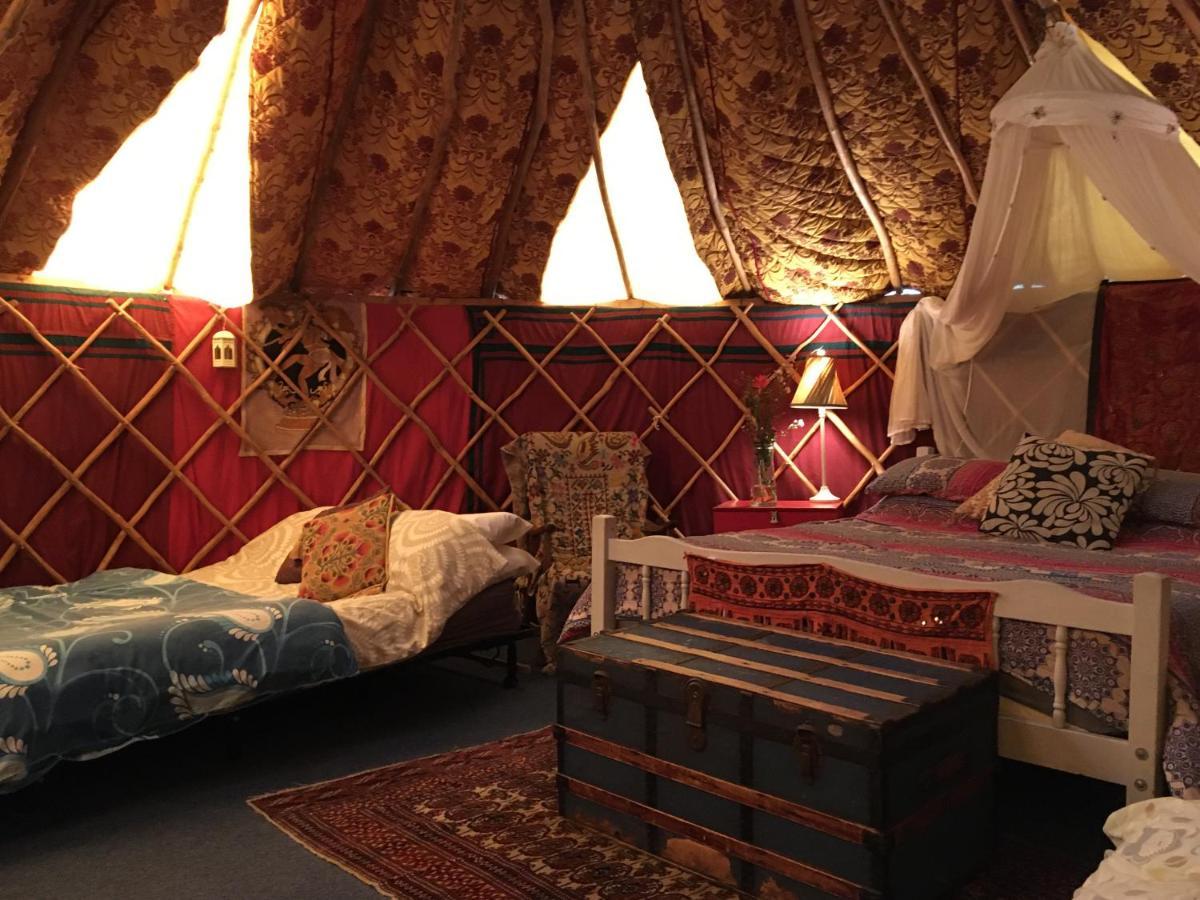 Inch Hideaway Eco Camping Whitegate  Dış mekan fotoğraf