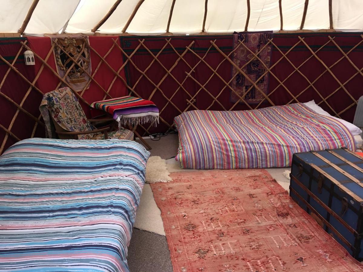 Inch Hideaway Eco Camping Whitegate  Dış mekan fotoğraf