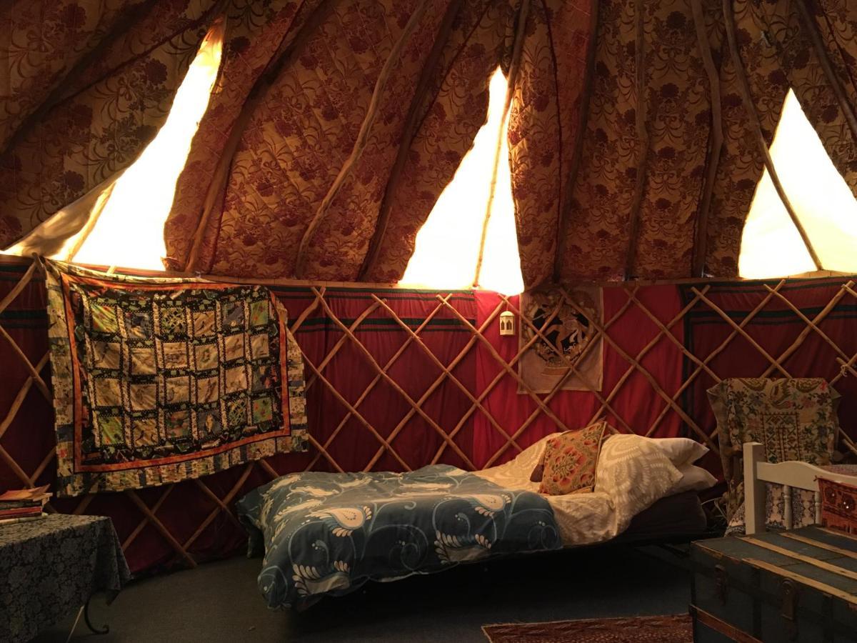 Inch Hideaway Eco Camping Whitegate  Dış mekan fotoğraf