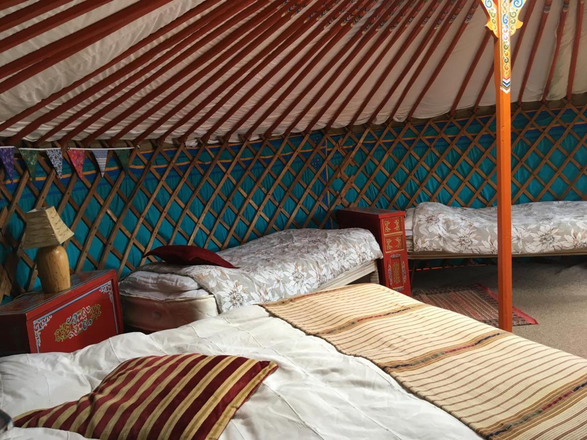 Inch Hideaway Eco Camping Whitegate  Dış mekan fotoğraf