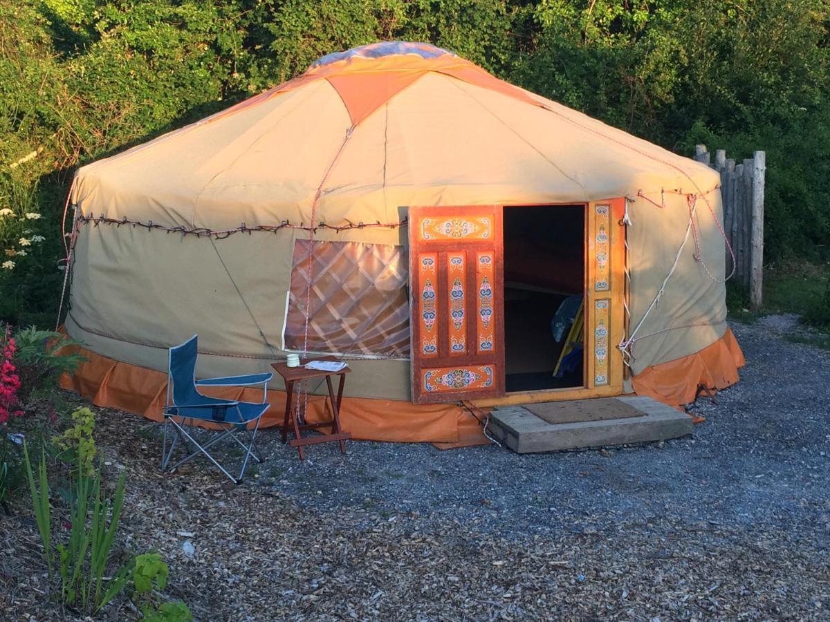 Inch Hideaway Eco Camping Whitegate  Dış mekan fotoğraf