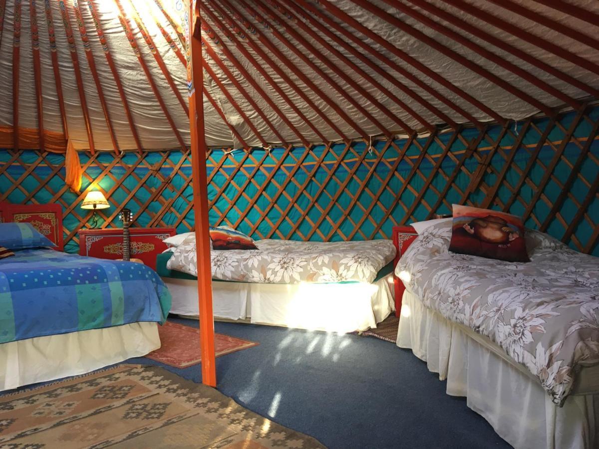 Inch Hideaway Eco Camping Whitegate  Dış mekan fotoğraf